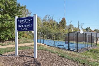 Basketball court